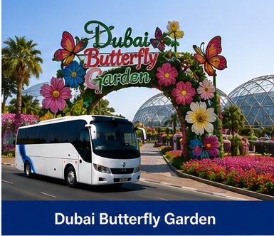 Dubai Butterfly Garden