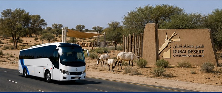 Dubai Desert Conservation Reserve