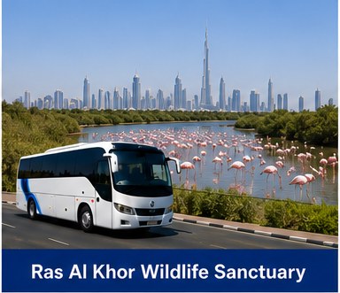 Ras Al Khor Wildlife Sanctuary